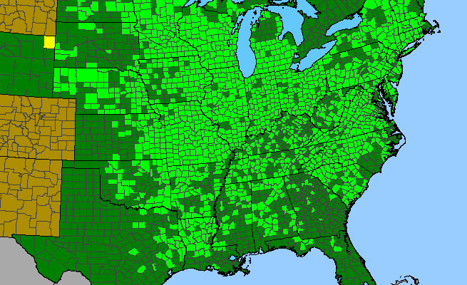 The range of Phryma leptostachya